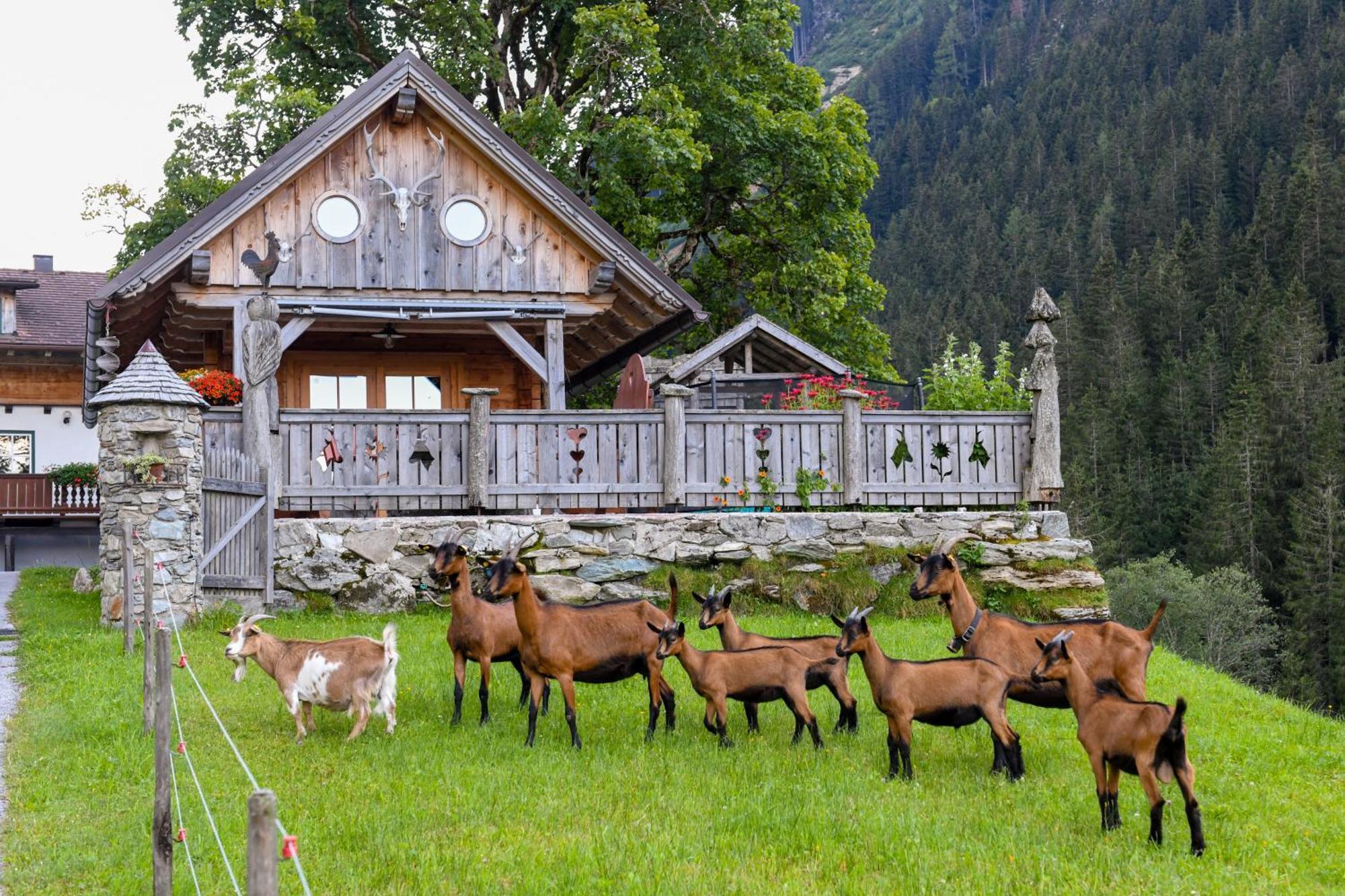 Вилла Strickhof Шладминг Экстерьер фото