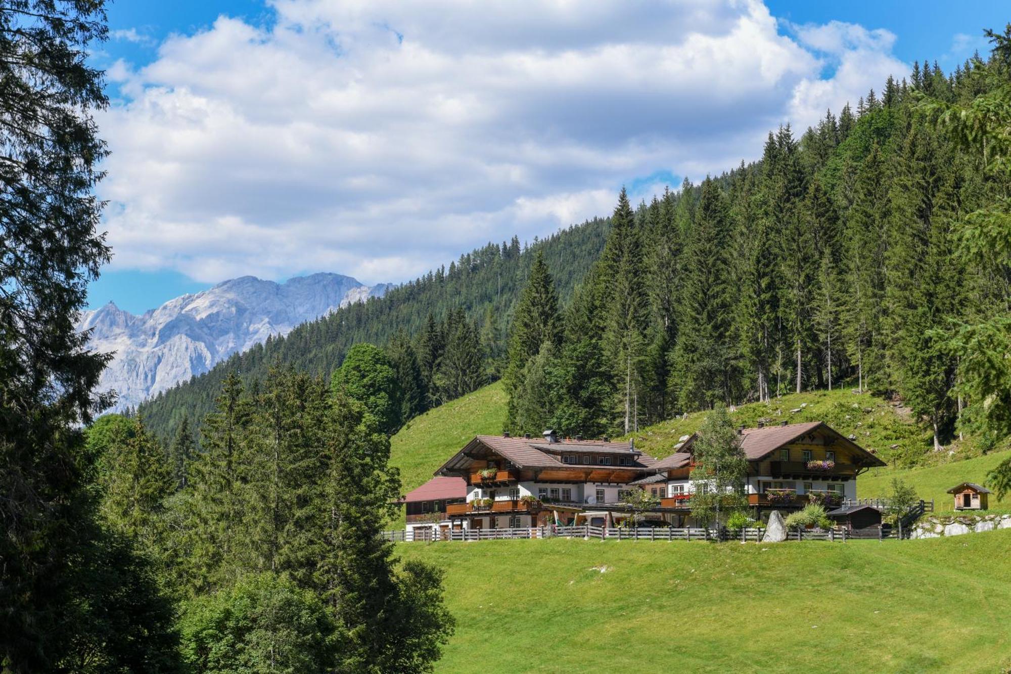 Вилла Strickhof Шладминг Экстерьер фото